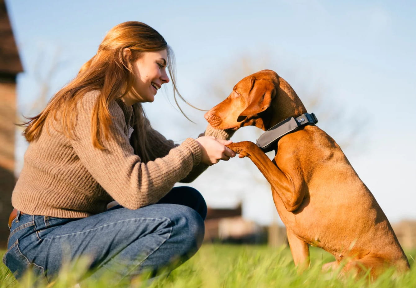 PETVORA affiliate community