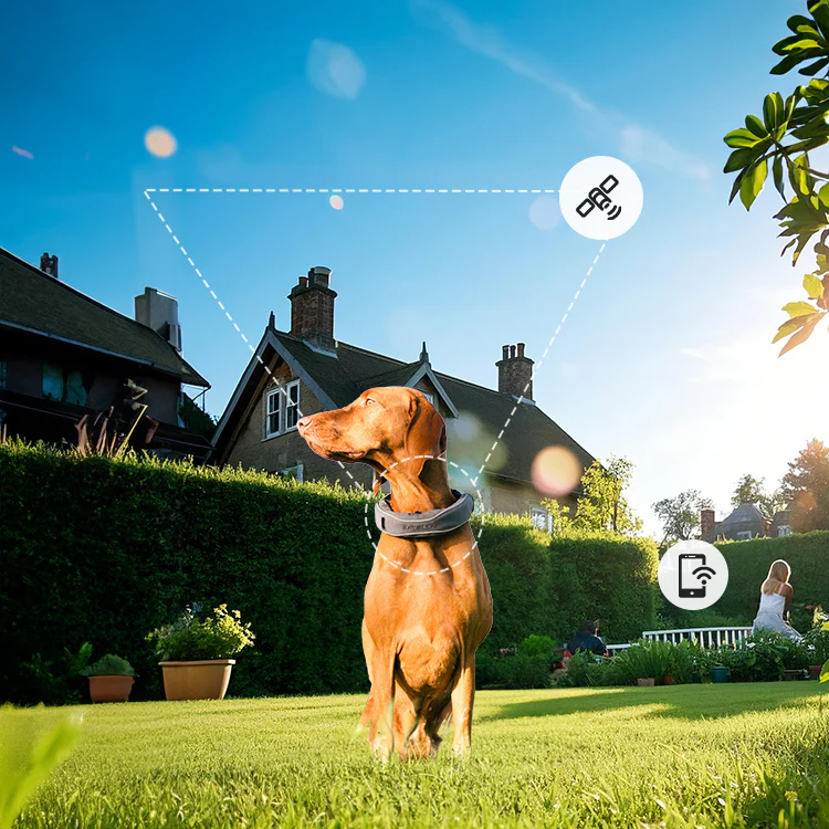 Real-Time Tracking