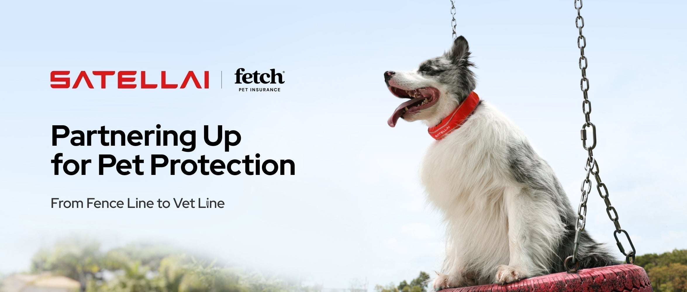 PETVORA and Fetch pet protection banner with dog in smart collar