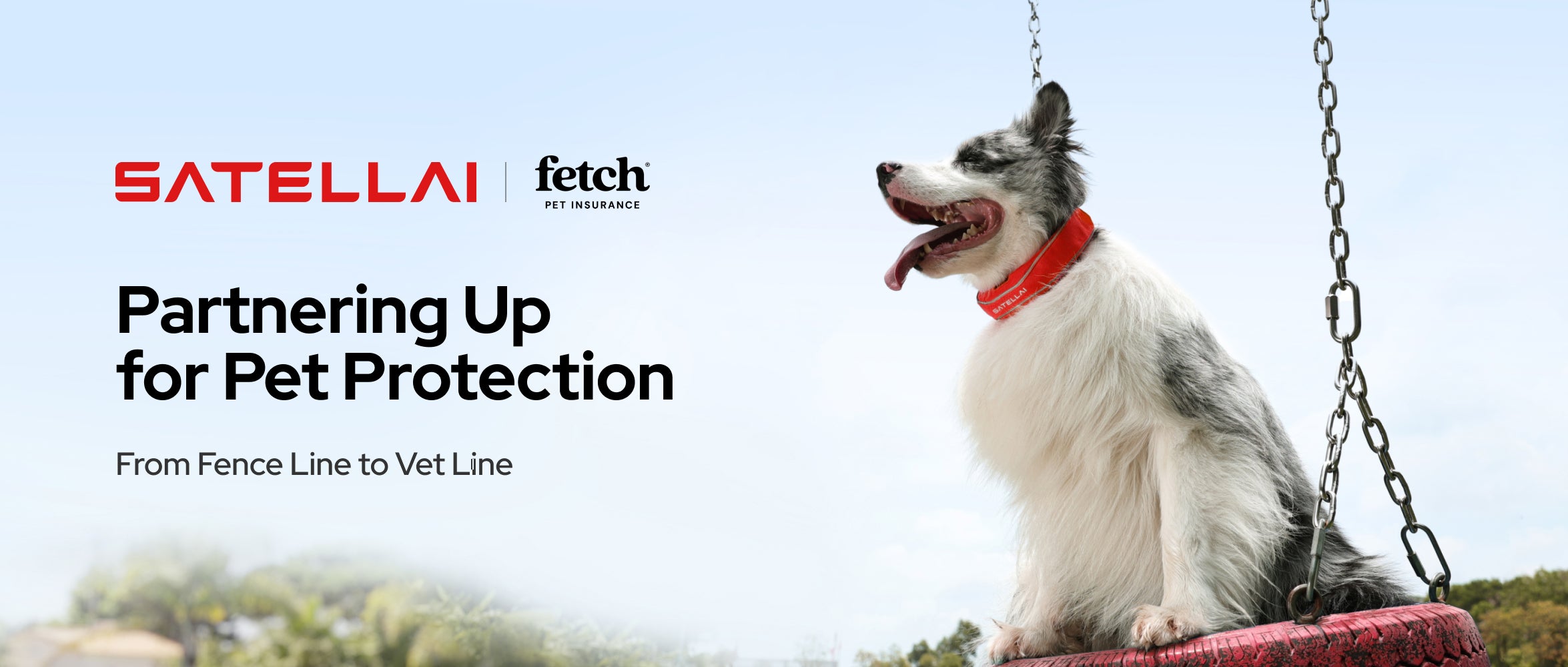 PETVORA and Fetch pet protection banner with dog in smart collar