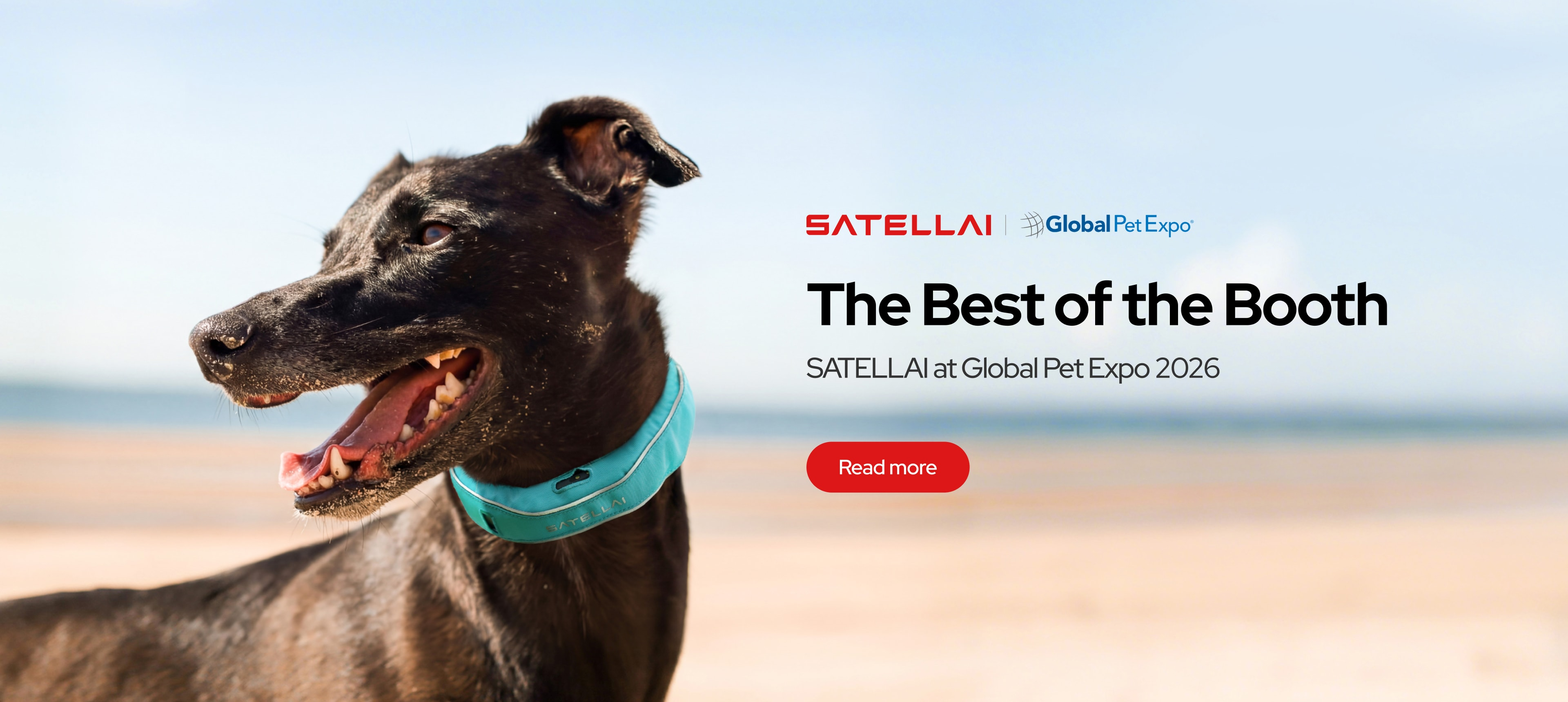 The Best of the Booth: PETVORA at Global Pet Expo 2026 image 1