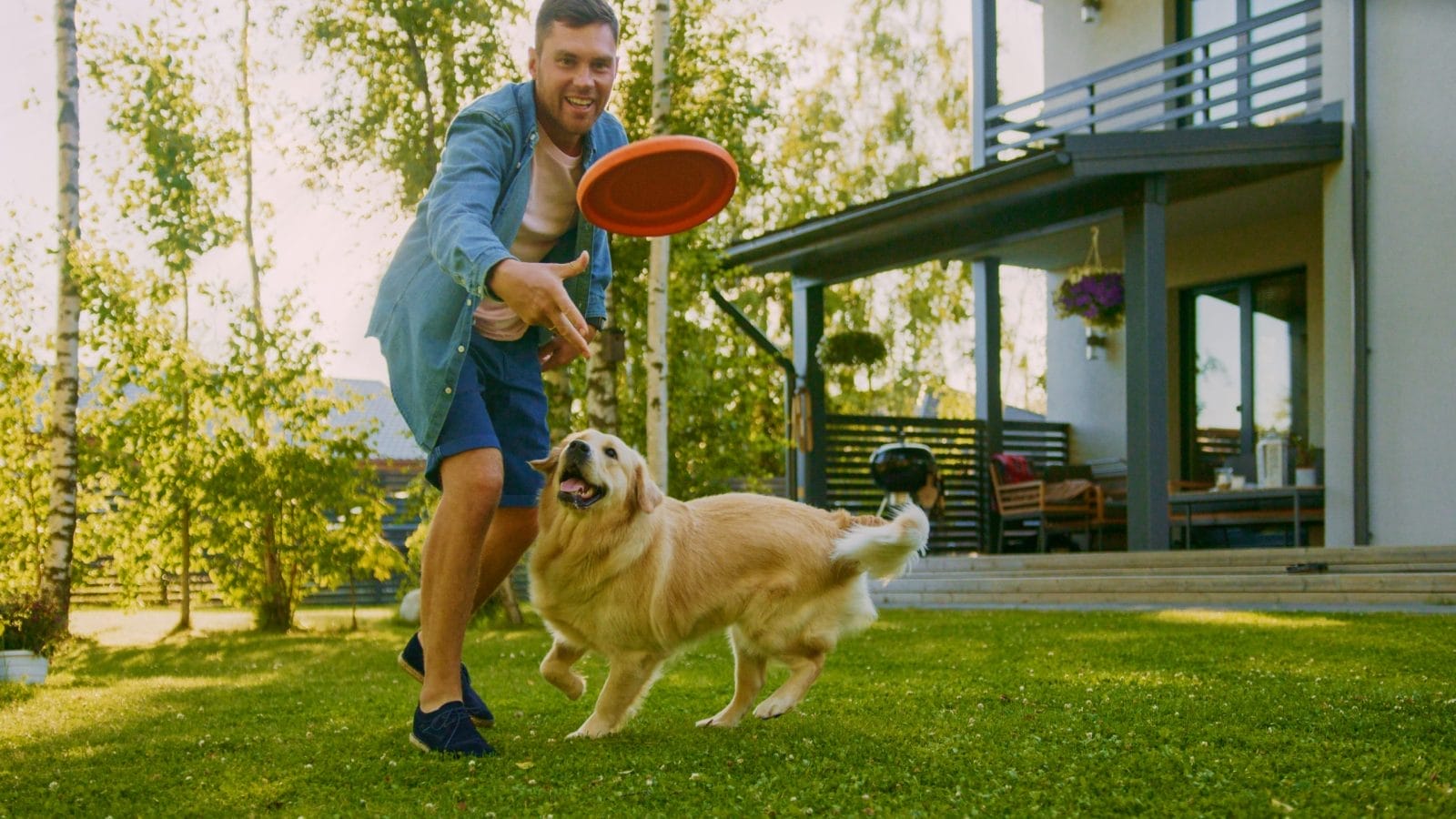 5 Fun Backyard Games to Play With Your Dog image 4