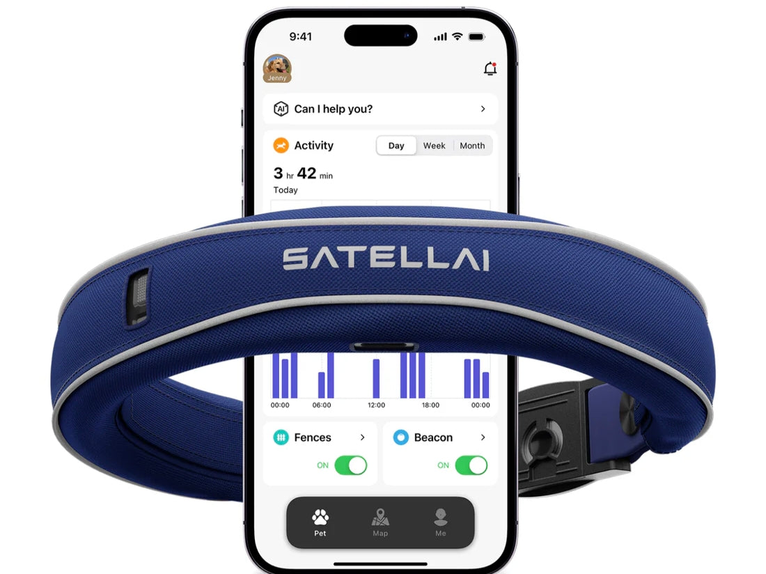 PETVORA dog GPS collar with tracking app