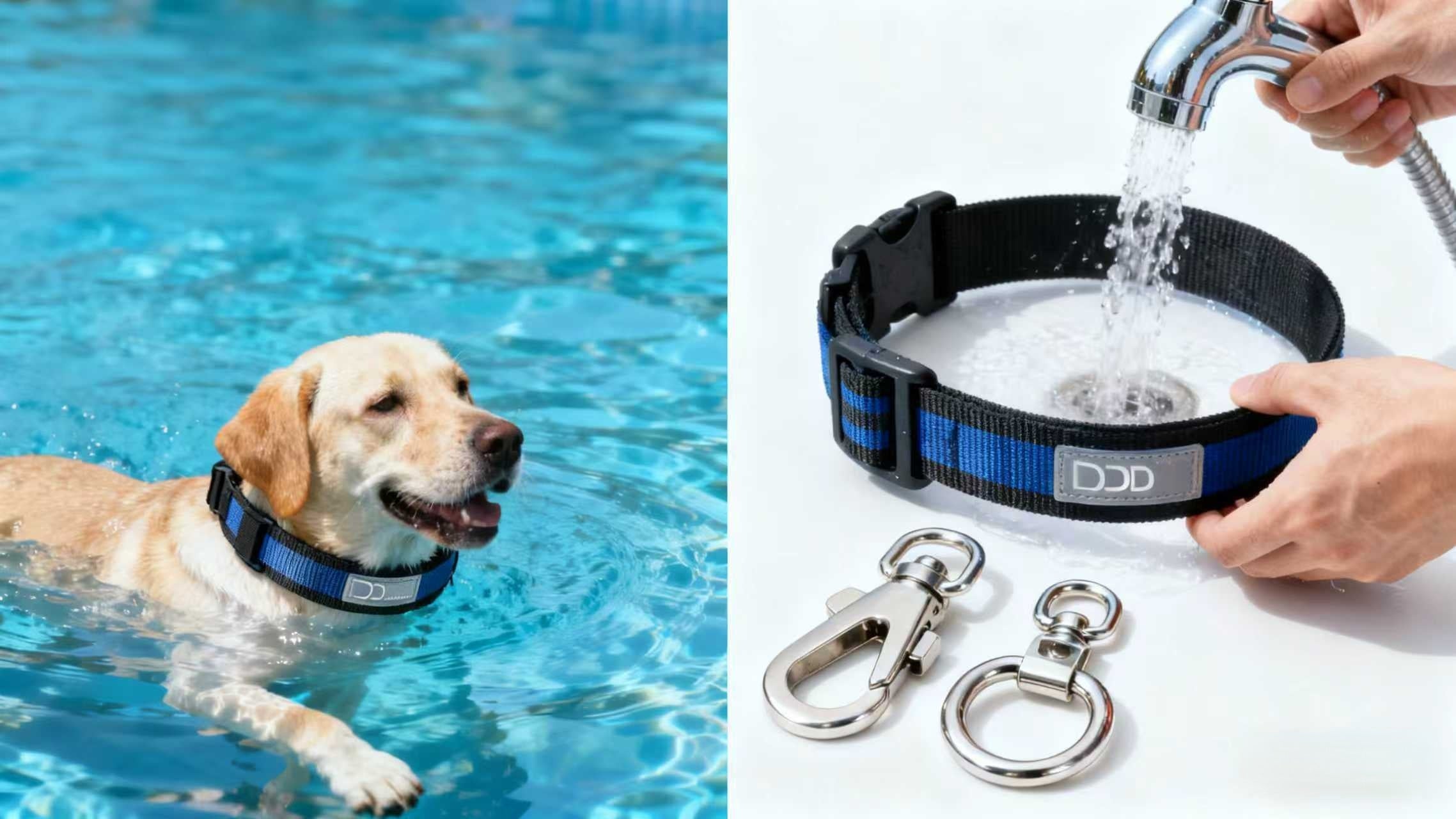 How to Choose the Perfect Dog Collar for Comfort and Safety image 4