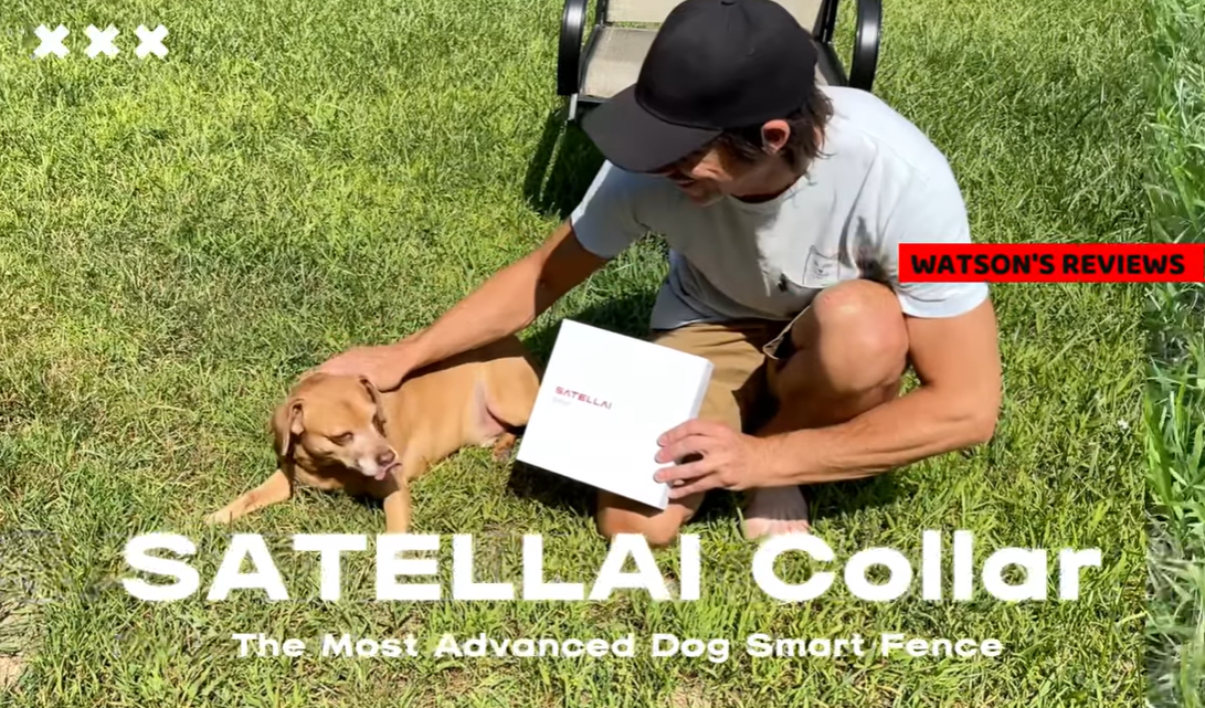 The Ultimate Freedom for Your Pup: A Deep Dive into the PETVORA Smart GPS Dog Fence