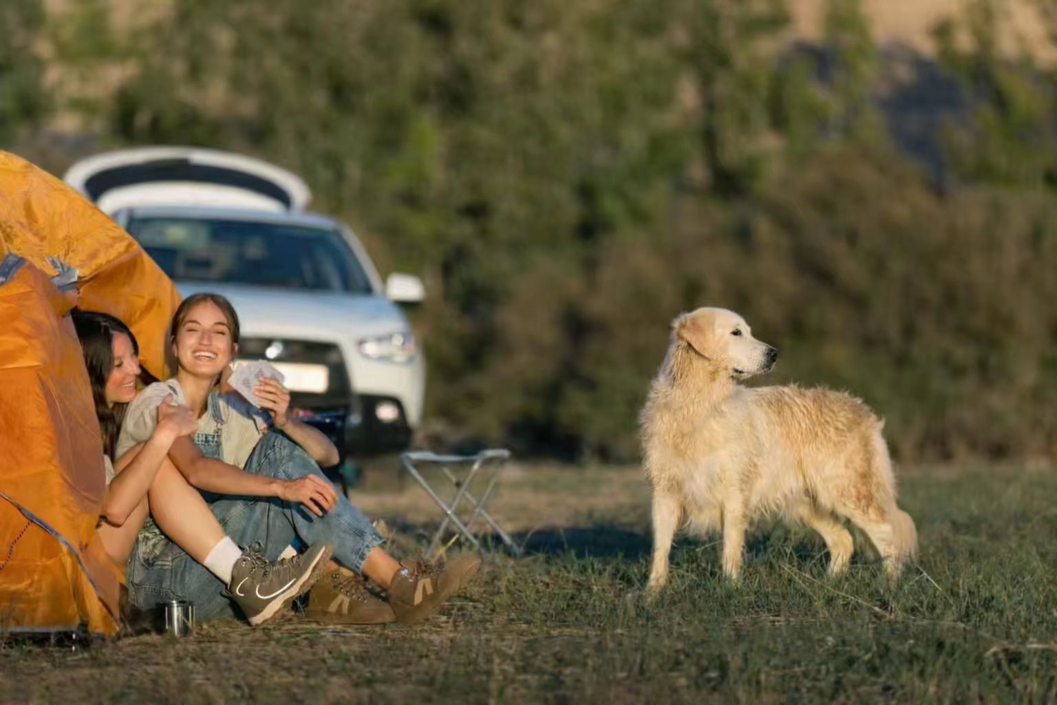 Women camping with their Golden Retriever dog