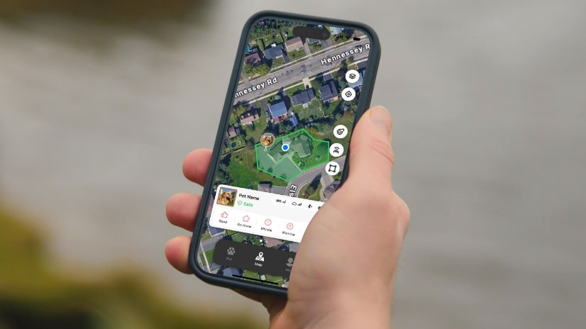 Hand holding smartphone showing pet GPS tracker map