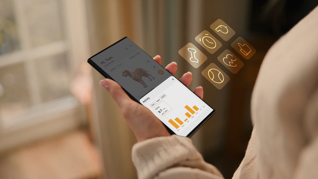 Pet activity tracking app on smartphone screen