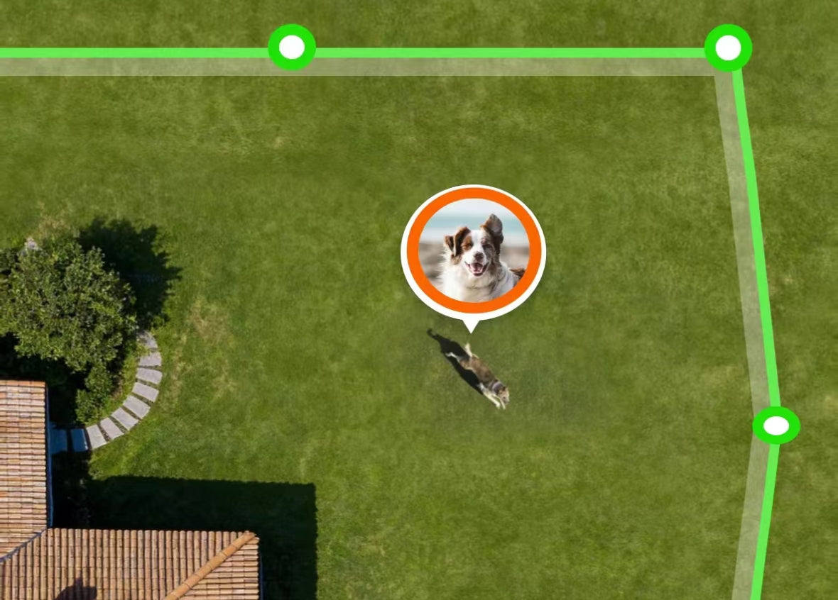 How GPS Fences Stop Dog 'Jailbreaks' image 2