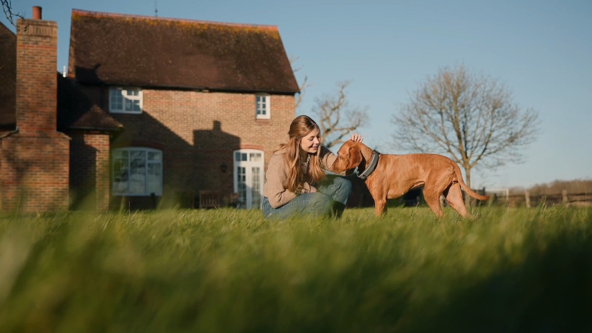 Woman petting a dog with an e-collar in a grassy field