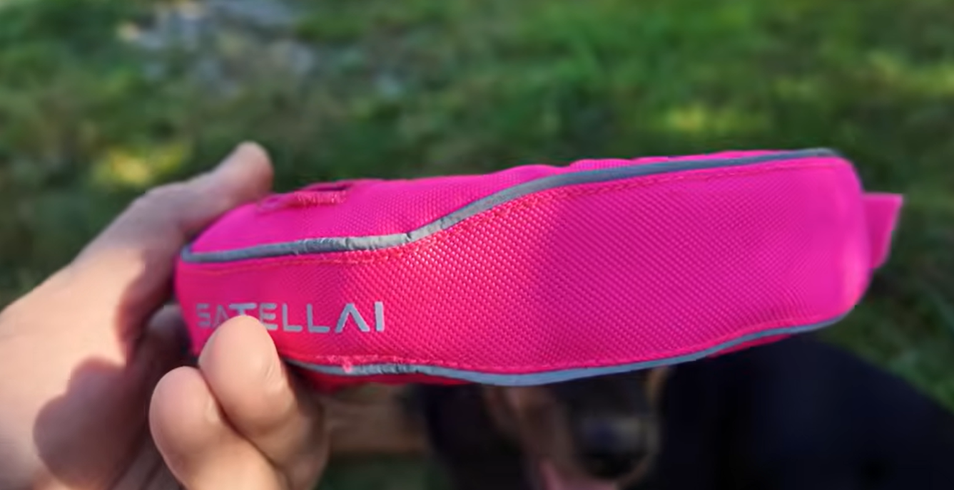 PETVORA GPS dog collar, bright pink close up showing collar texture