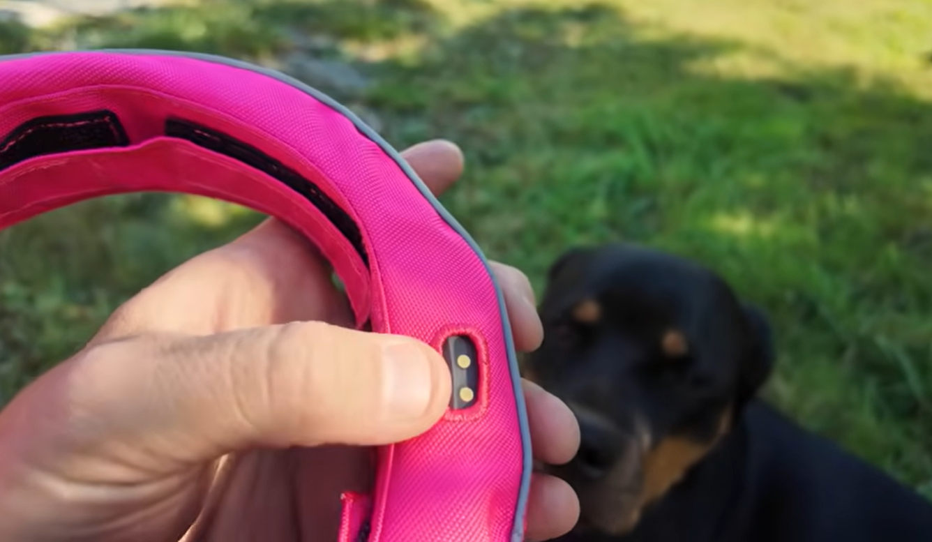 Pink dog collar charging contacts for long battery life