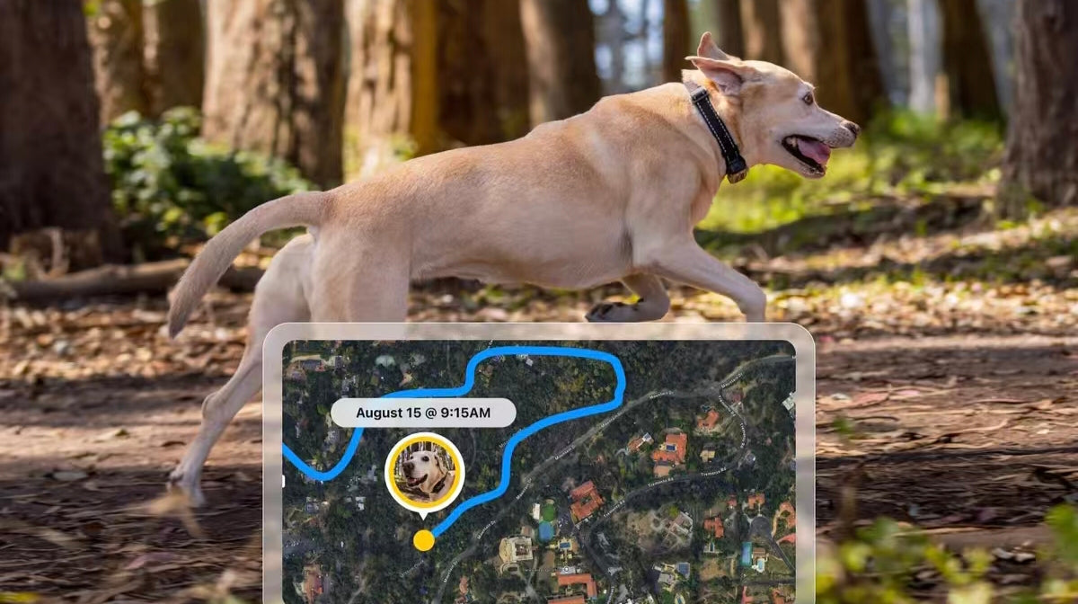 Are GPS Trackers Safe and Suitable for Small Dogs? image 3