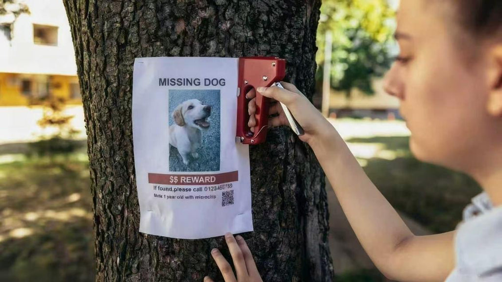 Missing dog poster being stapled to a tree with reward notice
