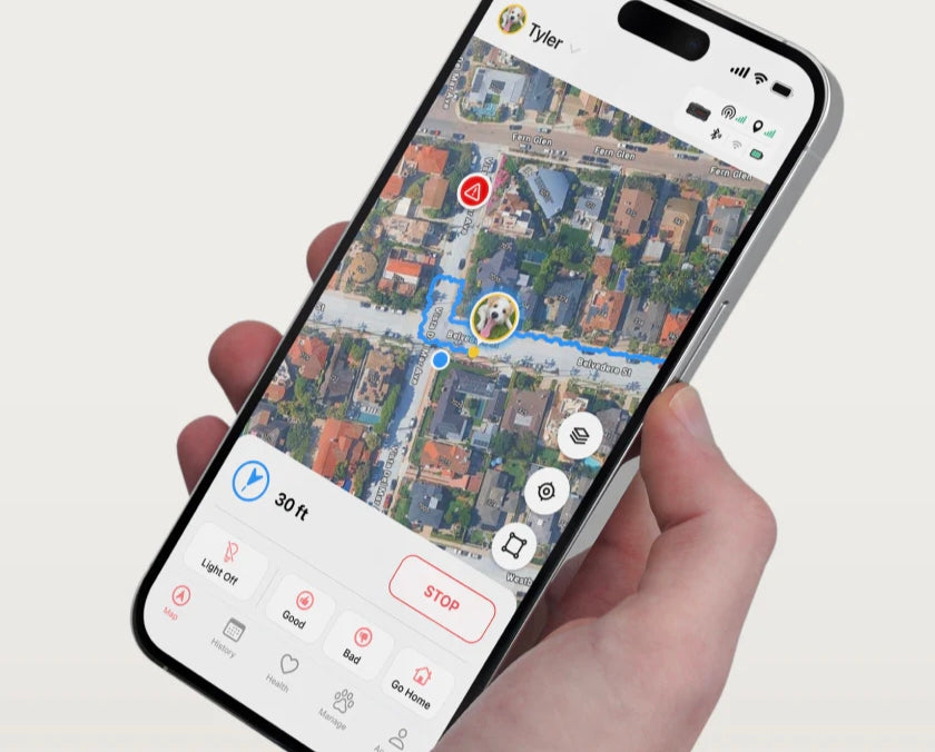 Dog GPS tracker app on smartphone map