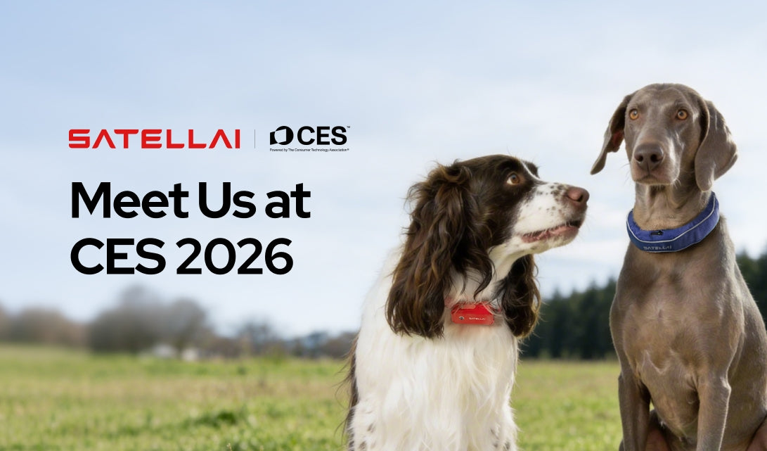 PETVORA at CES 2026: Media Coverage Highlights
