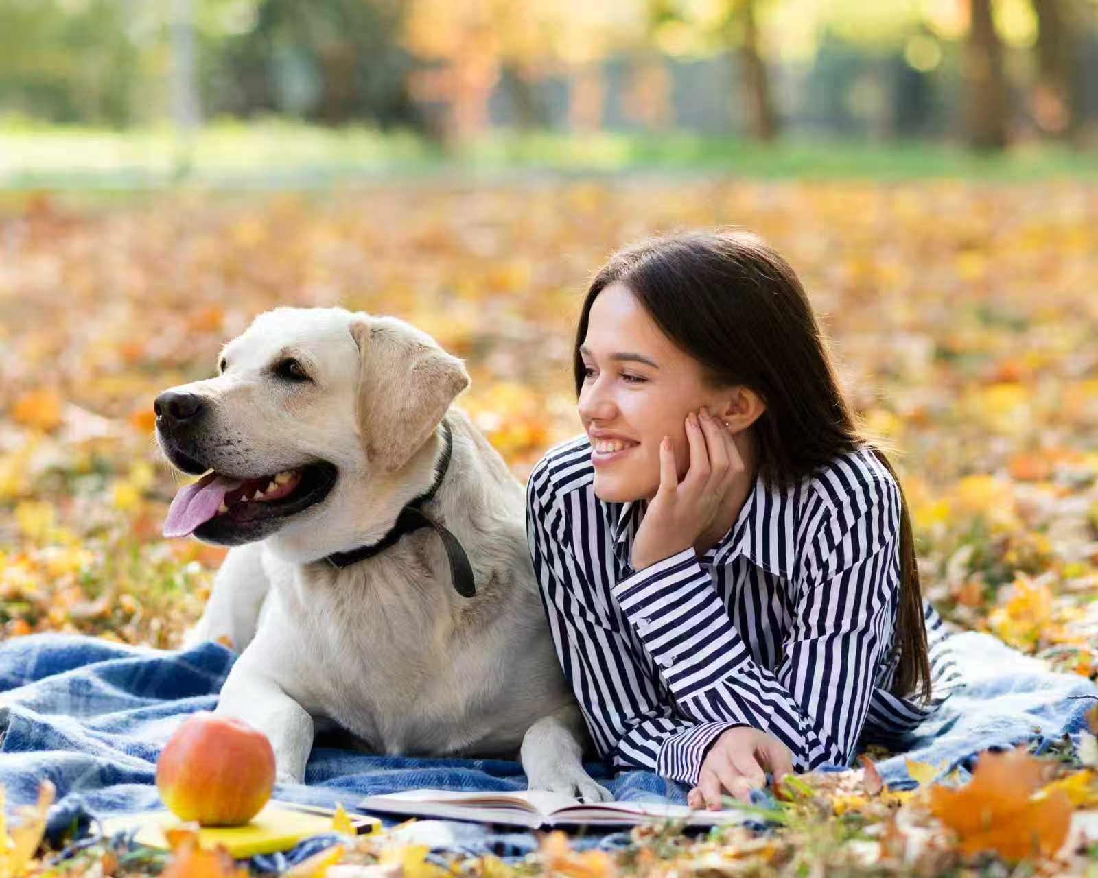 Protecting Farm Dogs with GPS Collars: A Practical Safety Guide image 5