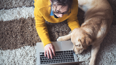 How to Travel with Your Dog Safely and Comfortably image 2