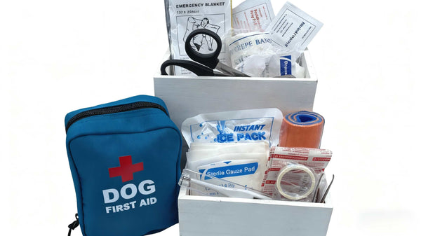 How to Travel with Your Dog Safely and Comfortably image 3