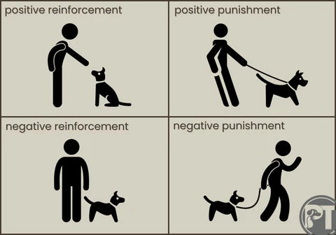 From Jumping to Digging: What Behaviors Can a Smart Collar Address? image 2