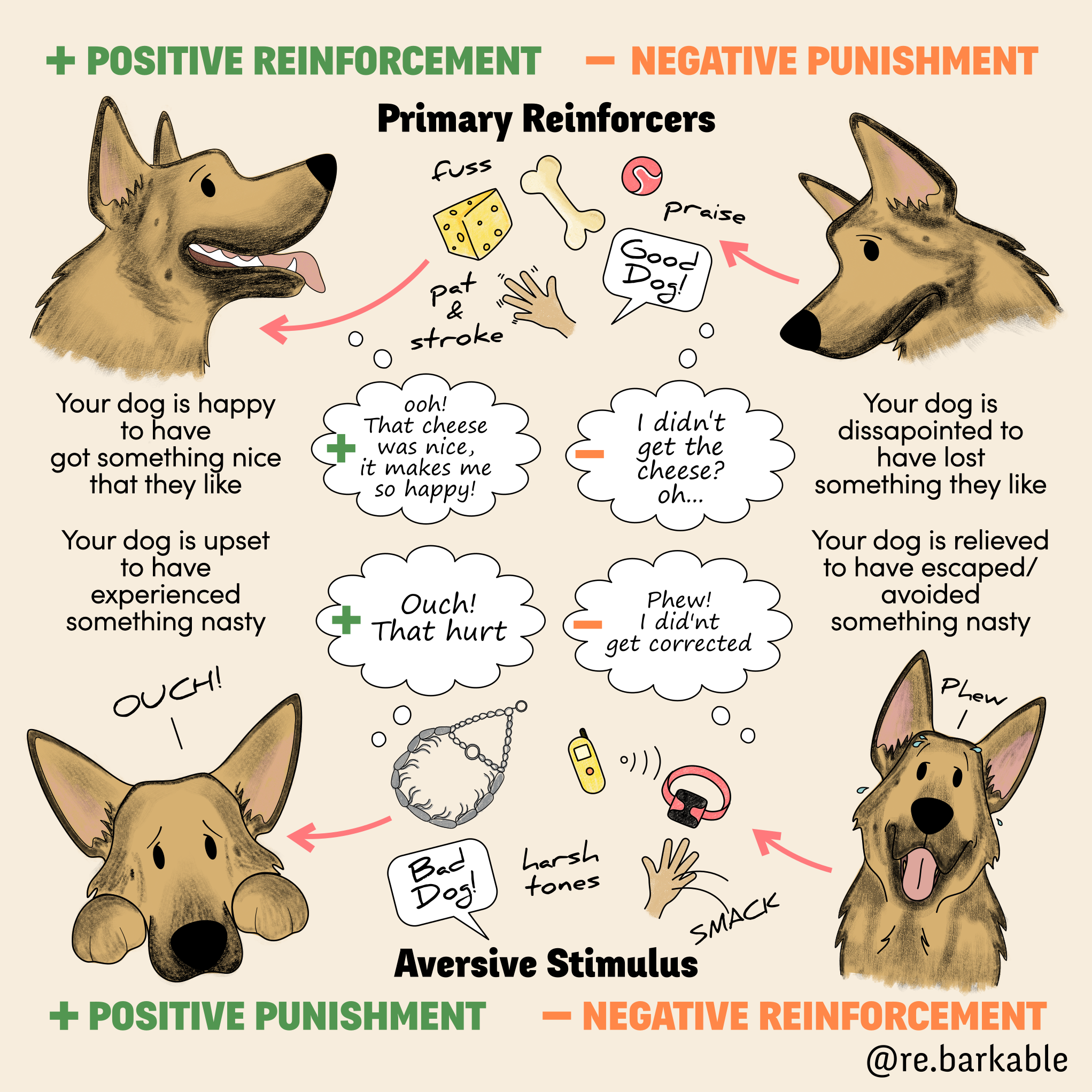 From Jumping to Digging: What Behaviors Can a Smart Collar Address? image 3