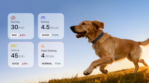 Activity & Health Monitoring
