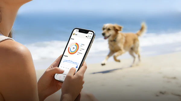 AI-Powered Health Analysis