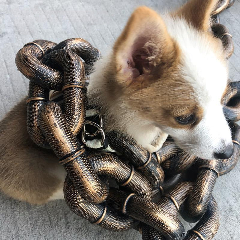 Iron Leash