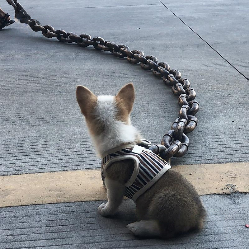 Iron Leash