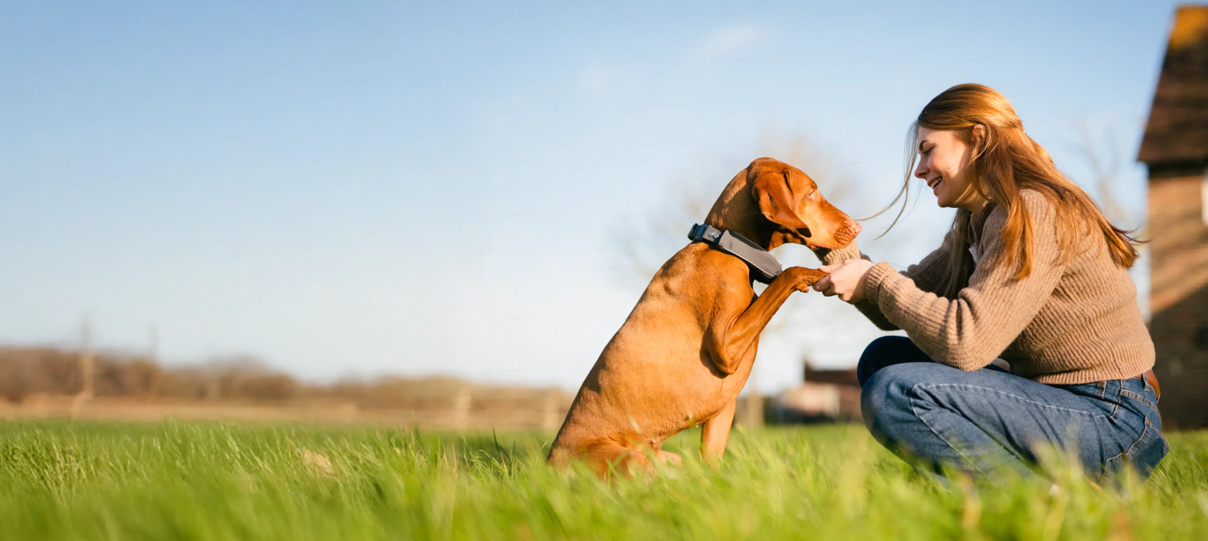 PETVORA Smart Collar - Safety & Freedom for your pet