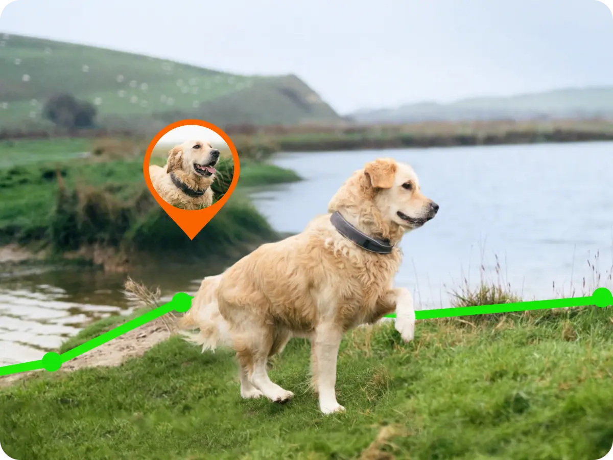 Ultra-Precise GPS Tracking Anywhere
