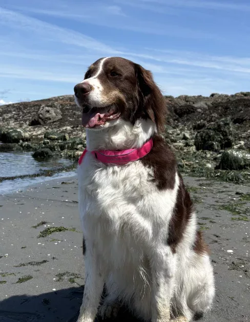 Brianna beim Camping mit ihrem Hund
